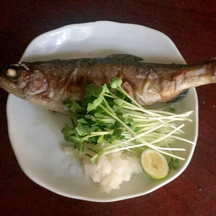 ニジマスの塩焼き W大根添え すだち レシピ 作り方 By とりあえず乾杯 楽天レシピ ニジマスの塩焼き W大根添え すだち レシピ 作り方 By とりあえず乾杯 楽天レシピ